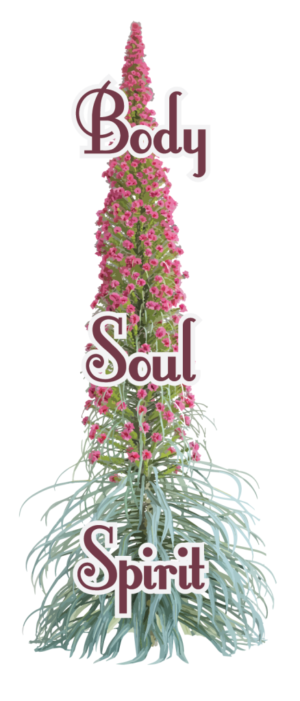 Body Soul Spirit graphic